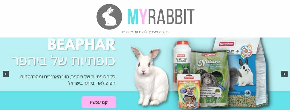 הארנב שלי MyRabbit