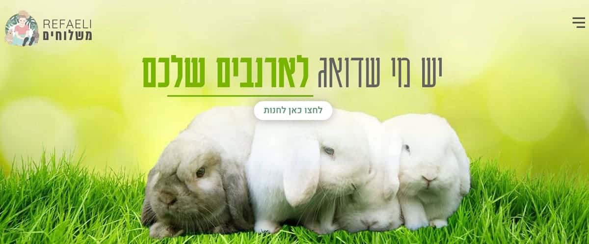 רפאלי משלוחים אוכל לארנבים