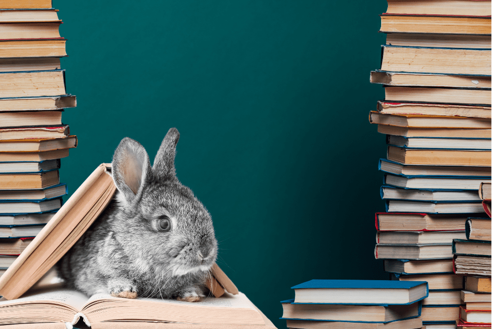 ספרים על ארנבים
