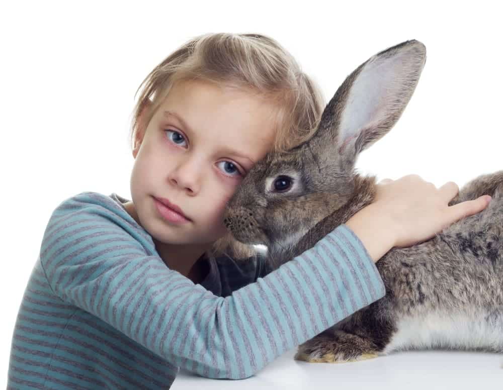 טיפול בעזרת בעלי חיים - טיפול בעזרת ארנבים